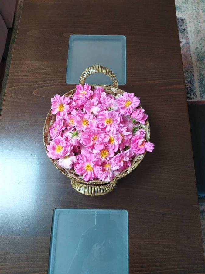 Gabarevo Вила В С. Габарево, Долината На Розите. מראה חיצוני תמונה